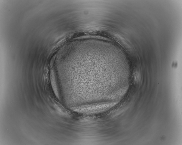 X0000091650964200709060955