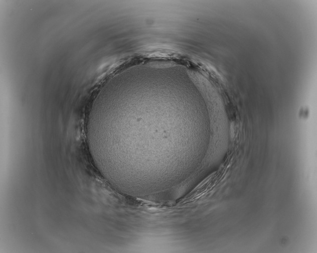 X0000091650965200709060955