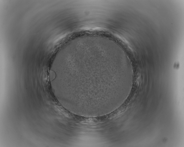 X0000091650966200709060955