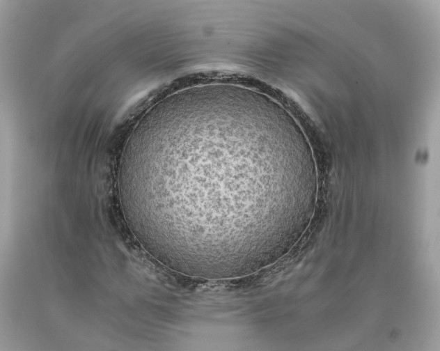 X0000091650967200709060955