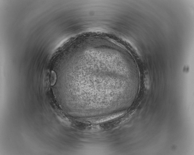 X0000091650968200709060955