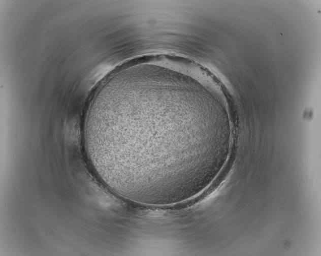 X0000091650969200709060955