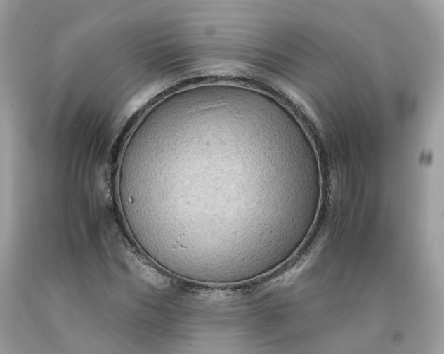 X0000091650970200709060955