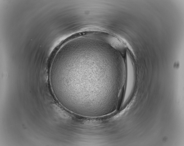 X0000091650973200709060955