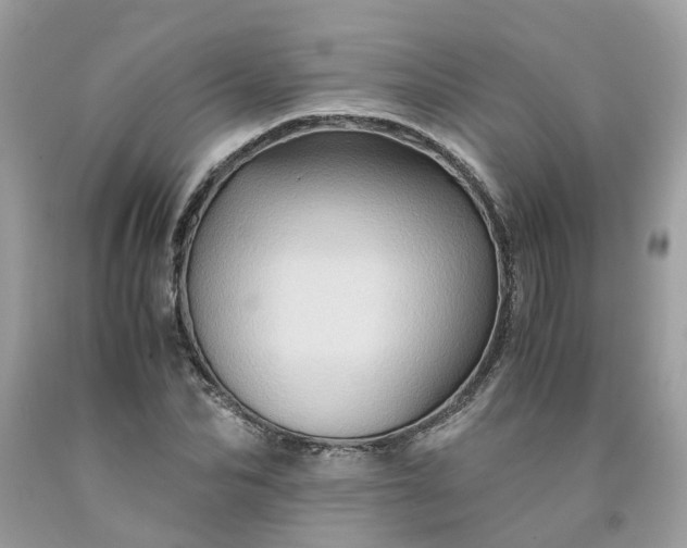 X0000091650974200709060955