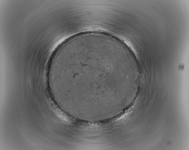 X0000091650975200709060955