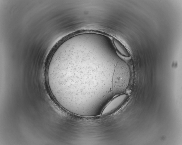 X0000091650976200709060955