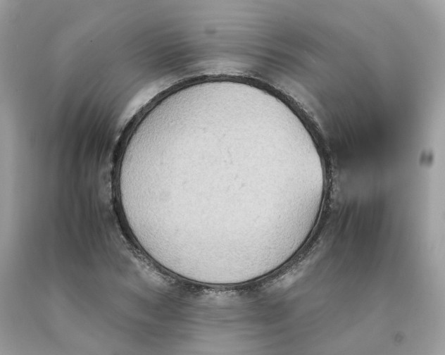 X0000091650978200709060955