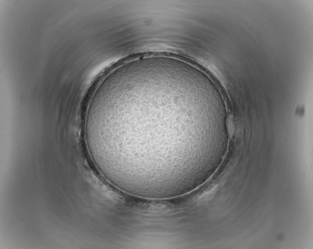 X0000091650979200709060955