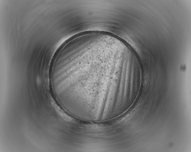 X0000091650980200709060955