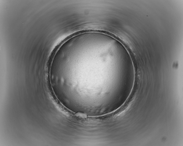 X0000091650981200709060955