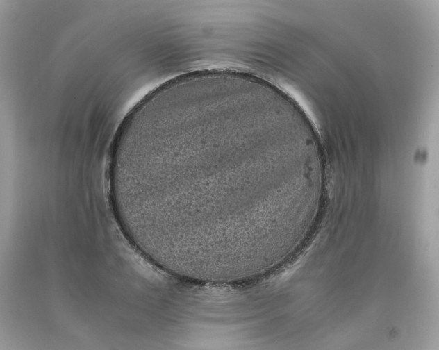 X0000091650983200709060955