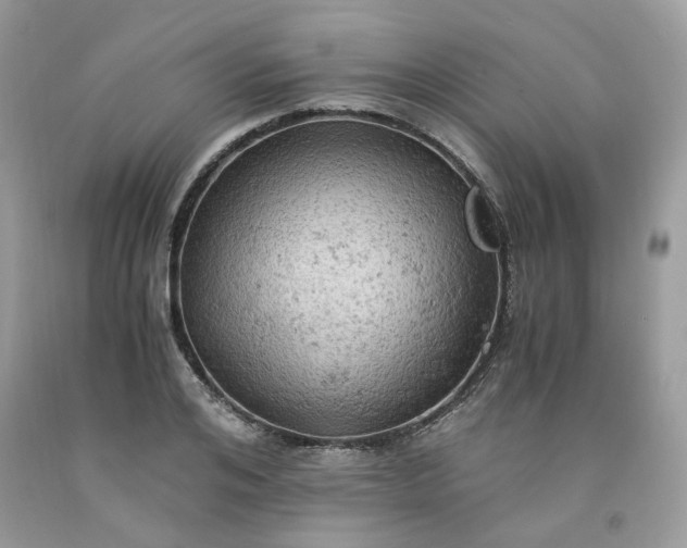 X0000091650984200709060955