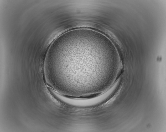 X0000091650985200709060955