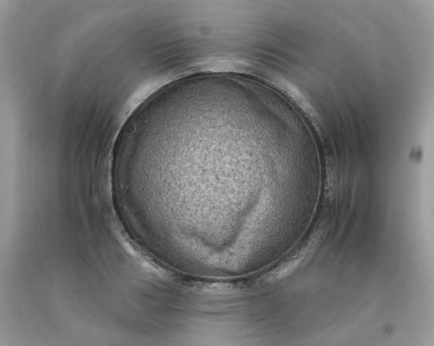 X0000091650986200709060955