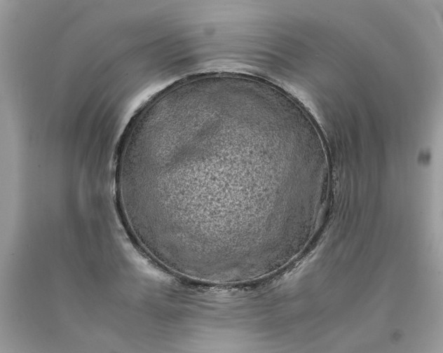 X0000091650987200709060955