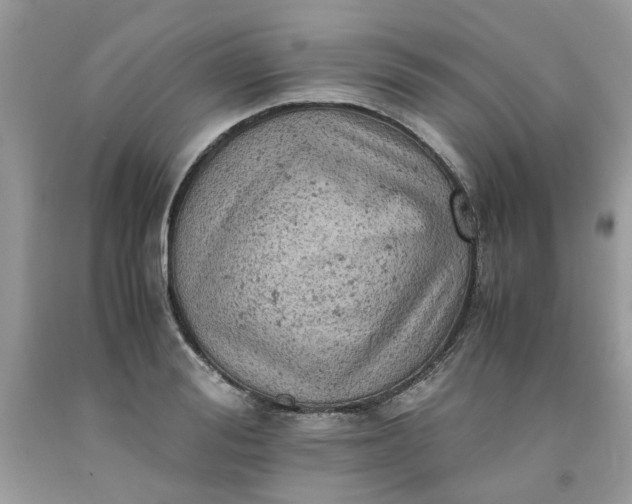 X0000091650988200709060955