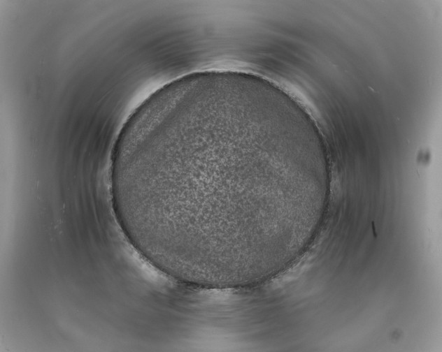 X0000091650990200709060955