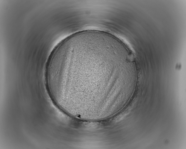 X0000091650991200709060955