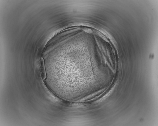 X0000091650993200709060955