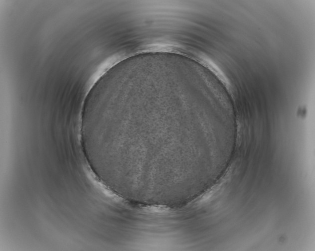 X0000091650994200709060955