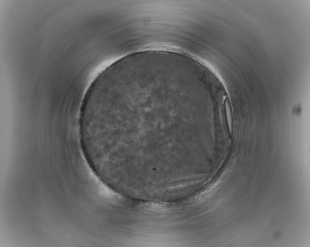 X0000091650995200709060955