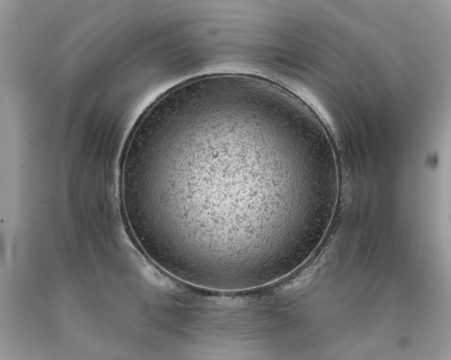 X0000091650996200709060955