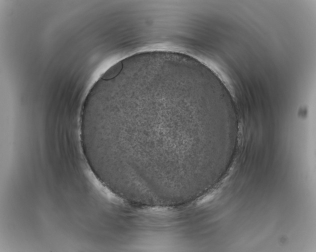 X0000091650998200709060955