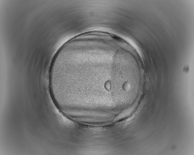 X0000091650999200709060955