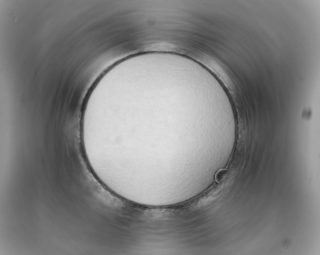 X0000091651000200709060955