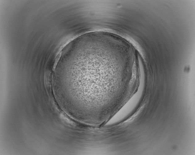 X0000091651001200709060955