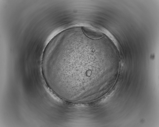 X0000091651002200709060955