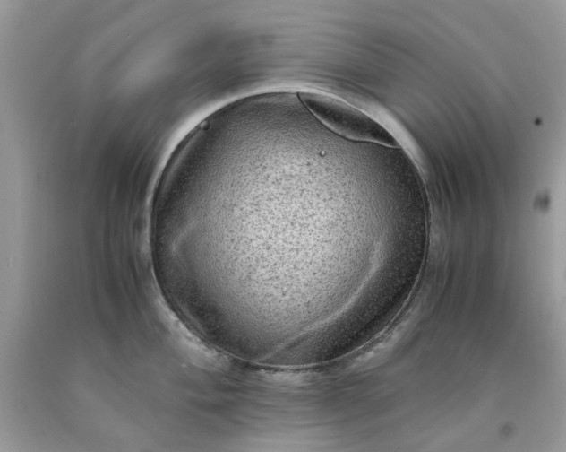 X0000091651004200709060955