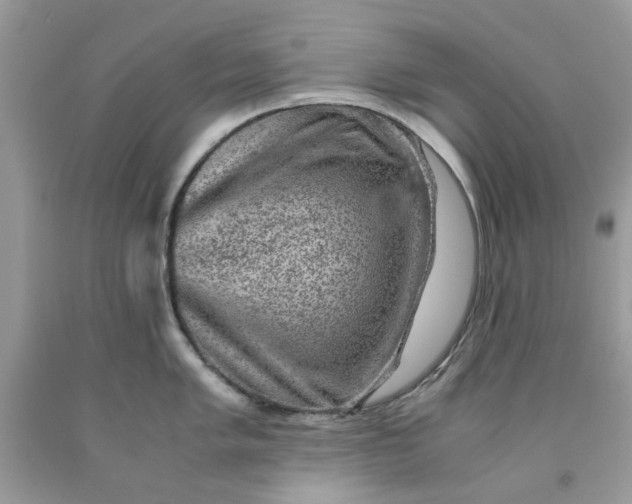 X0000091651005200709060955