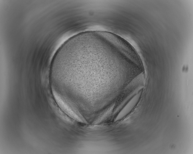 X0000091651008200709060955