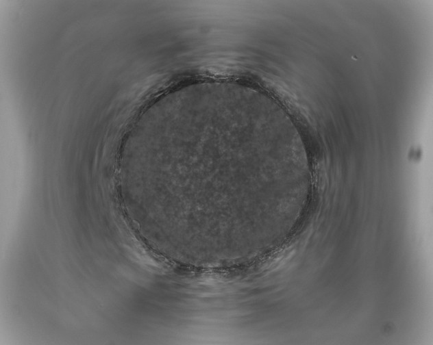 X0000091651009200709060954