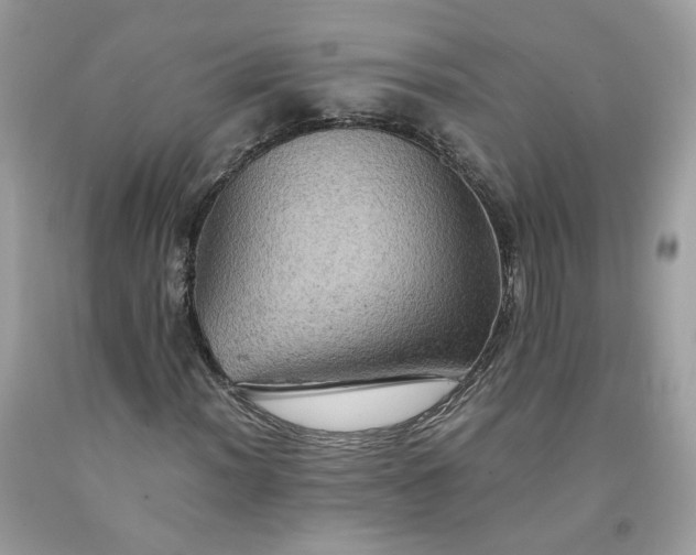 X0000091651012200709060954