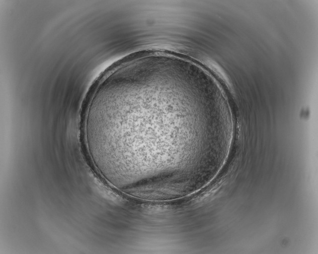 X0000091651020200709060954