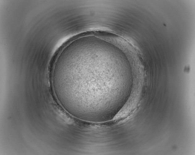 X0000091651022200709060954