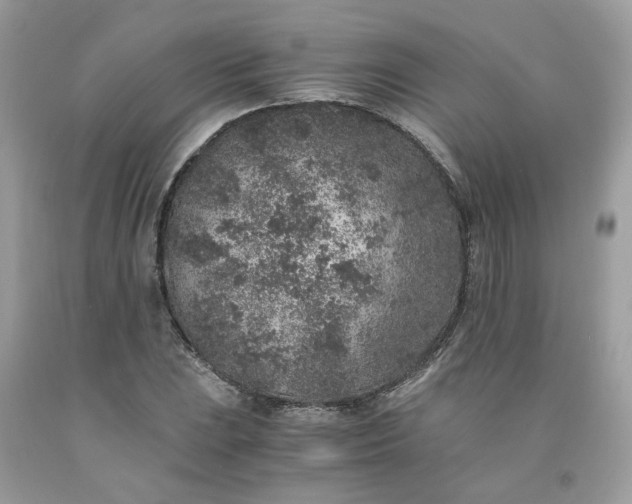 X0000091651023200709060954