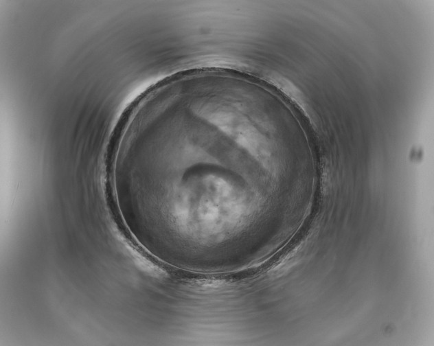 X0000091651024200709060955