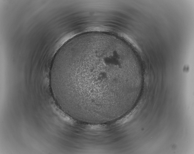 X0000091651025200709060955