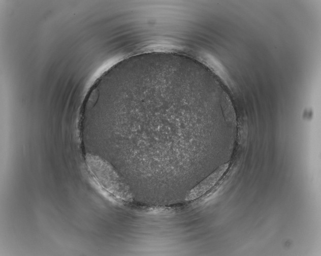 X0000091651026200709060955