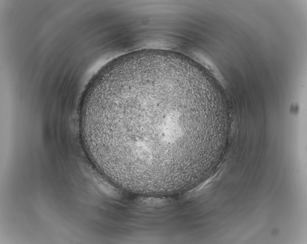 X0000091651027200709060955