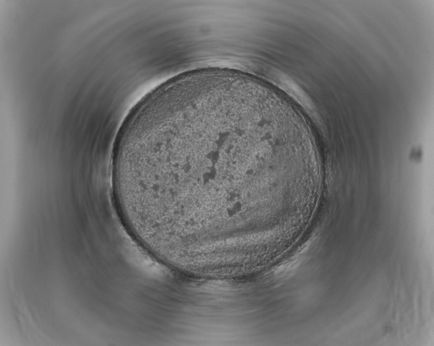 X0000091651028200709060955