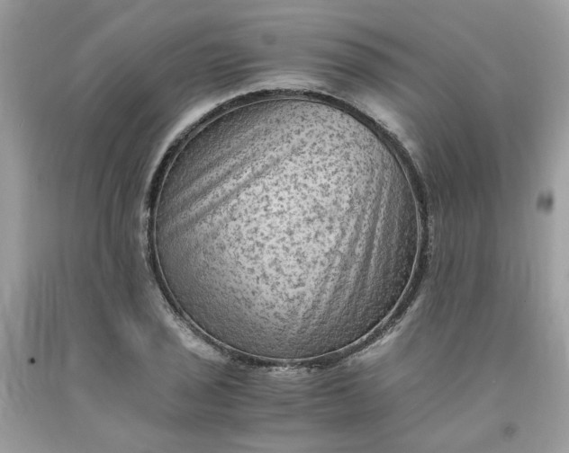 X0000091651029200709060955