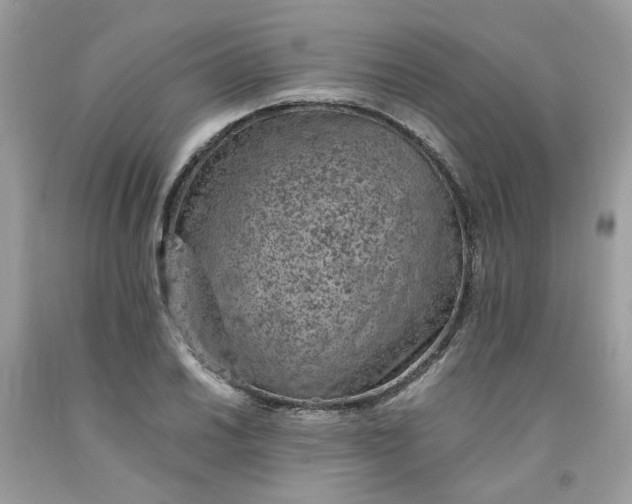 X0000091651030200709060955