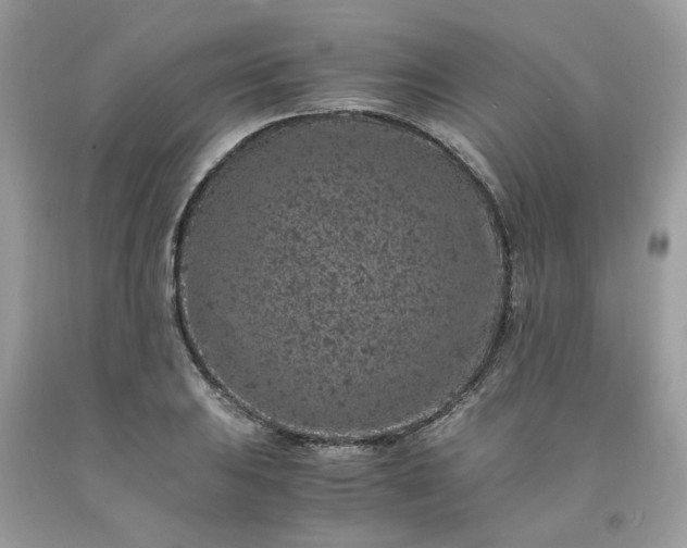 X0000091651031200709060955