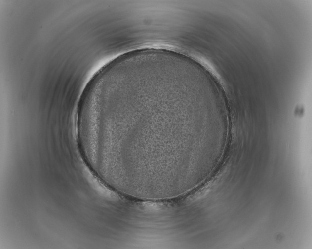 X0000091651032200709060955