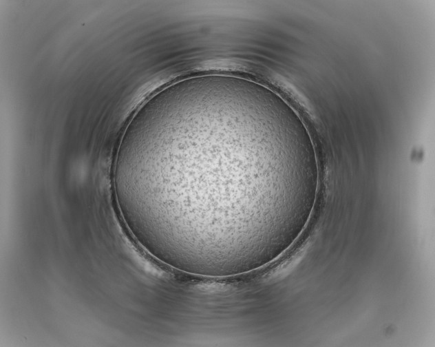 X0000091651033200709060955